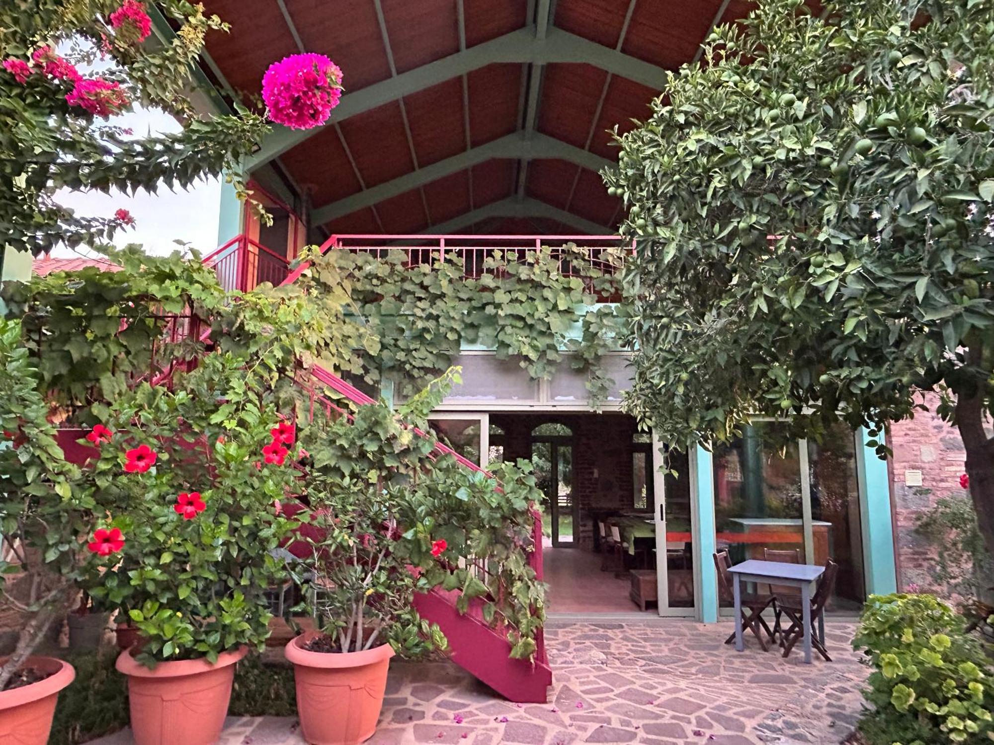 Villa Daphnis & Chloe Pyrgi Thermis Exteriér fotografie